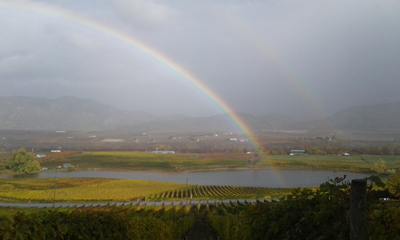 Castoro de Oro Vineyard Rainbow