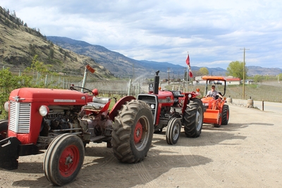 Castoro de Oro Roadside Our Three Tractors