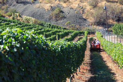 Castoro de Oro Vineyard Tractor Wagon - Winetour